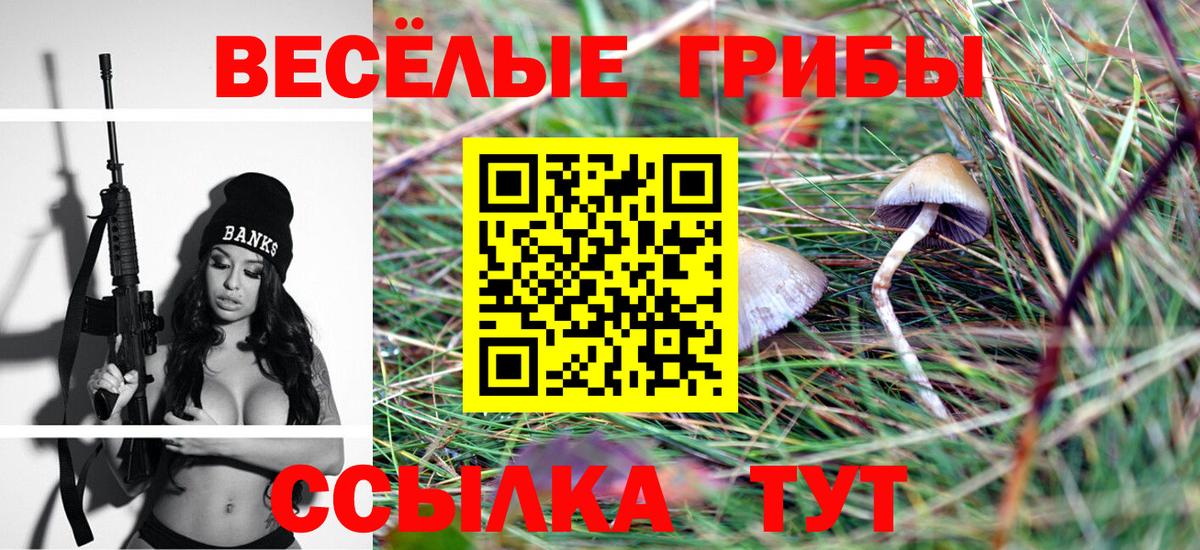 купить наркотик  Галлюциногенные грибы GOLDEN TEACHER  Галлюциногенные грибы Magic Shrooms  Вход с VPN  Барабинск 